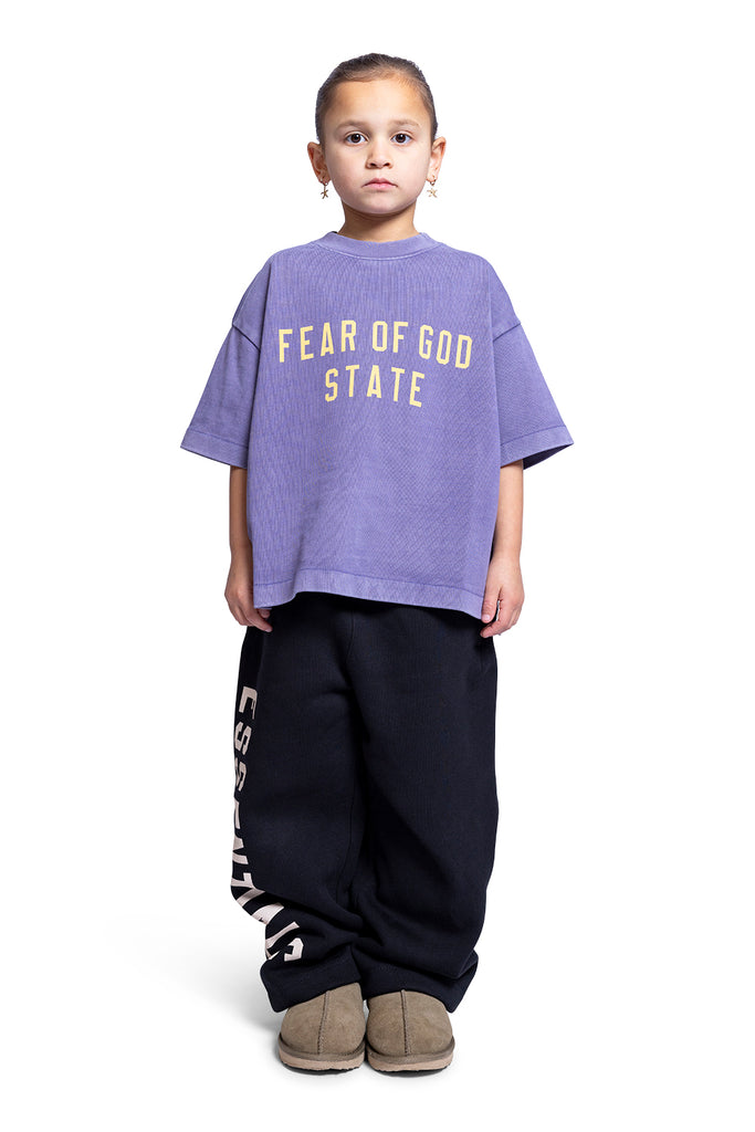 FOG ESSENTIALS HEAVY CREWNECK TEE LAVENDER Light Slate Gray