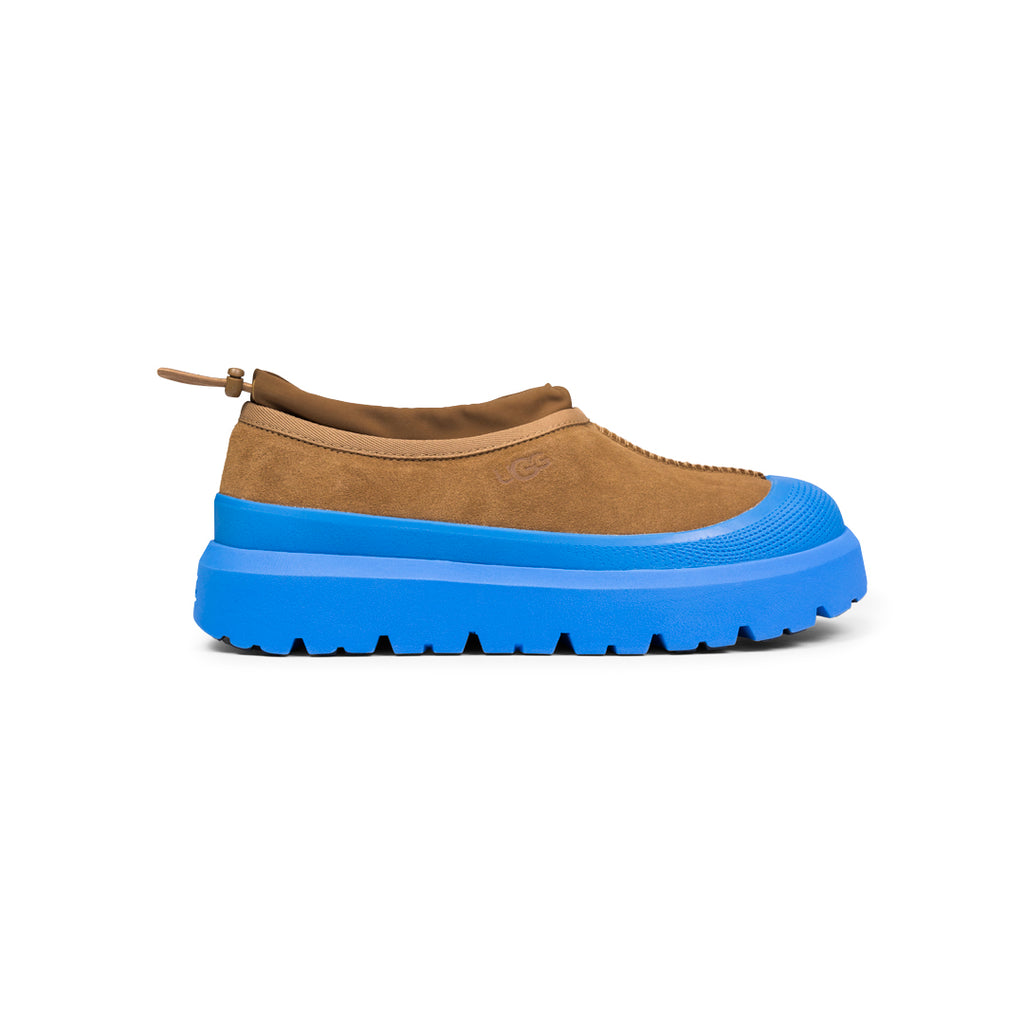 Ugg M TASMAN WEATHER HYBRID CHESTNUT / BIG SKY Dodger Blue